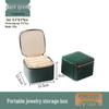 2025 Portable Jewelry Organizer: Travel Storage Bag for Earrings and Studs