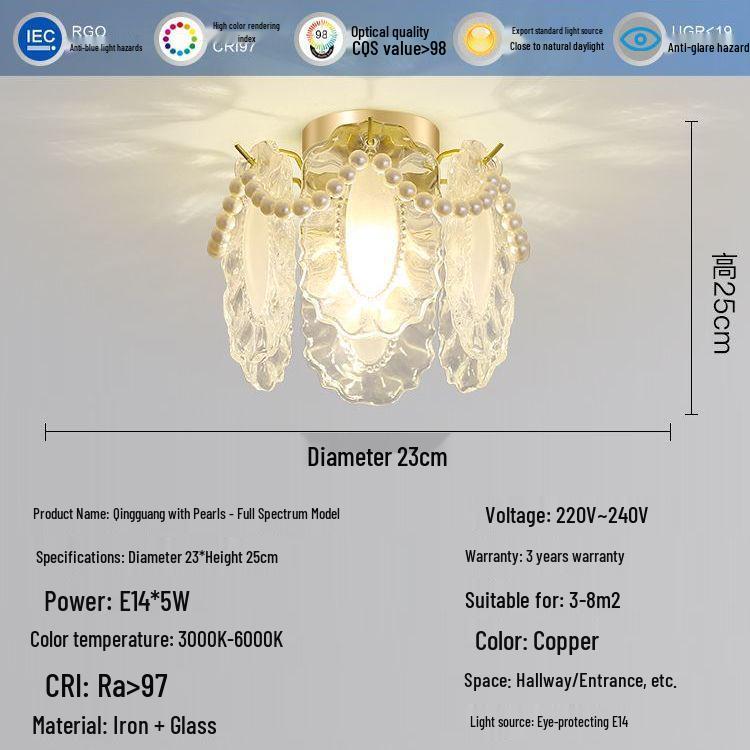 Nordic Luxury Shell Corridor Light: Creative, Modern Balcony & Entrance Lighting