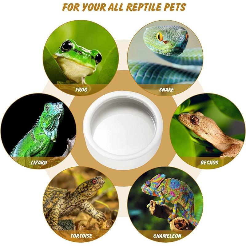 3 Sizes Ceramic Aquarium Pet Reptile Feeder Bowl Basin Food Water Pot Reptile Turtle Tortoise Scorpion Lizard Crabs Supplies