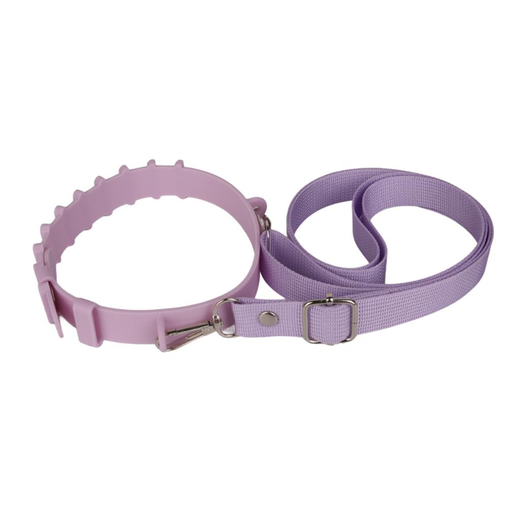 Wasserflaschen-Griffgurt, verstellbarer Wasserflaschengriff, tragbarer Silikon-Wasserflaschengurt, leichter Gurt, Wasserflaschenhalter, Becher