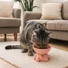 Non-slip Ceramic Cat Bowl Large Capacity Cat Drinking Feeder Pet High Foot Bowl  Pet Eating