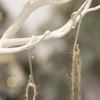S Christmas Premium Hooks In Gold And Transparent Colors Perfect For Holiday Decorations