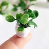 Mini Plant Model 1/12 Scale Doll Houses Plants Realistic Micro Plastic Pots for Doll Houses Garden Accessories Fairy Garden Patio Decor Miniature