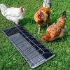 18 Slots Pigeon Chicken Feeder No Waste Thickened Water Dispenser Feeding Dish for Balcony Garden