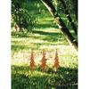 Vintage Garden Stakes Outdoor Decor Rustic Metal Lawn Spikes Weather Resistant Gift