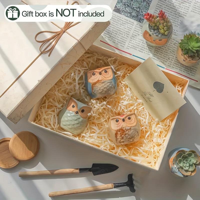 Creative Cartoon Kiln Transformation 6pcs Set Owl Ceramic Succulent Plant Pots with Drainage Holes, Adorable Small Planters with Plant Stands