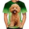 Kawaii Poodle Dog 3D Print Animal T-shirts Men Woman Fashion Streetwear Short Sleeve T Shirt Harajuku Tops Tees Kids Clothing