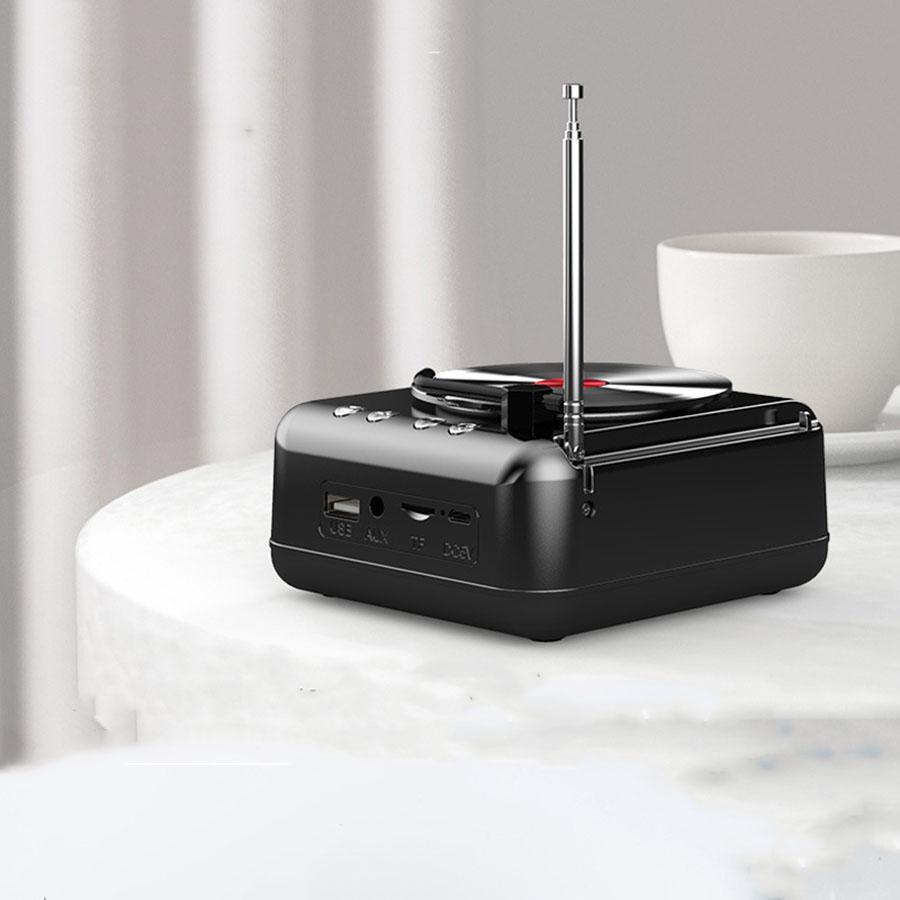 Portable Vinyl Record Player With Speakers