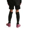 Nike Kids Shorts Moderate IF2770-010