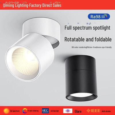 Faltbarer Vollspektrum LED Aufbau-Downlight für Wohnzimmer und Veranda