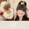 Autumn and Winter Furry Grab Clip Female Small 2025 New High-end Semi-tied Plush Hairpin Back Head Clip Headdress