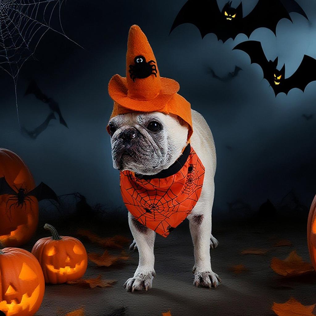 Halloween Pet Hat Set:3 Styles(purple ,black Pumpkin,orange Spider)with Matching Bandanas!Perfect For Small/medium Dogs.Easy To Wear For Spooky Photos
