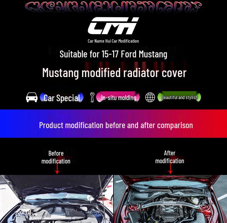 Carbon Fiber Radiator Cover & Hood Latch Guard for 15-17 Ford Mustang