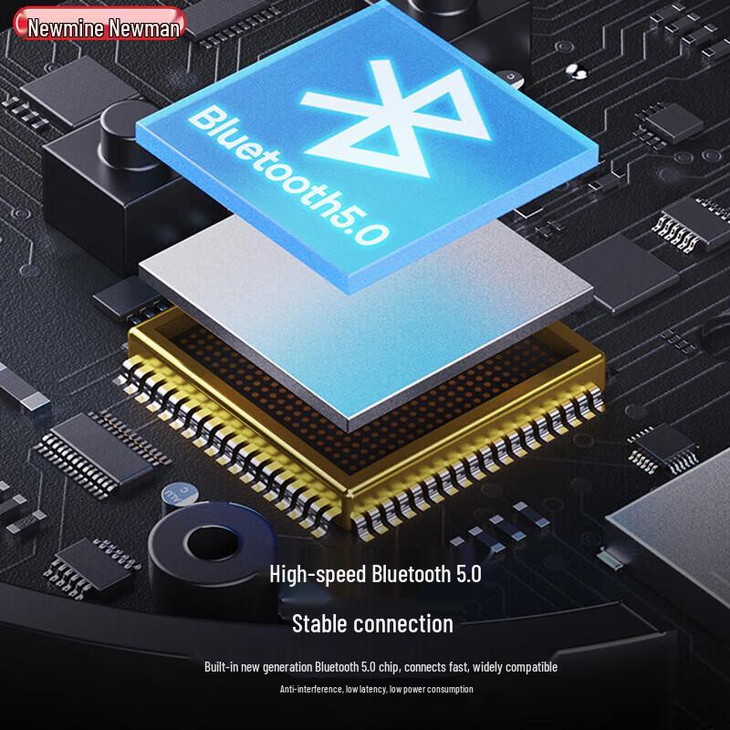 Newmine BT31 Portable Bluetooth Speaker