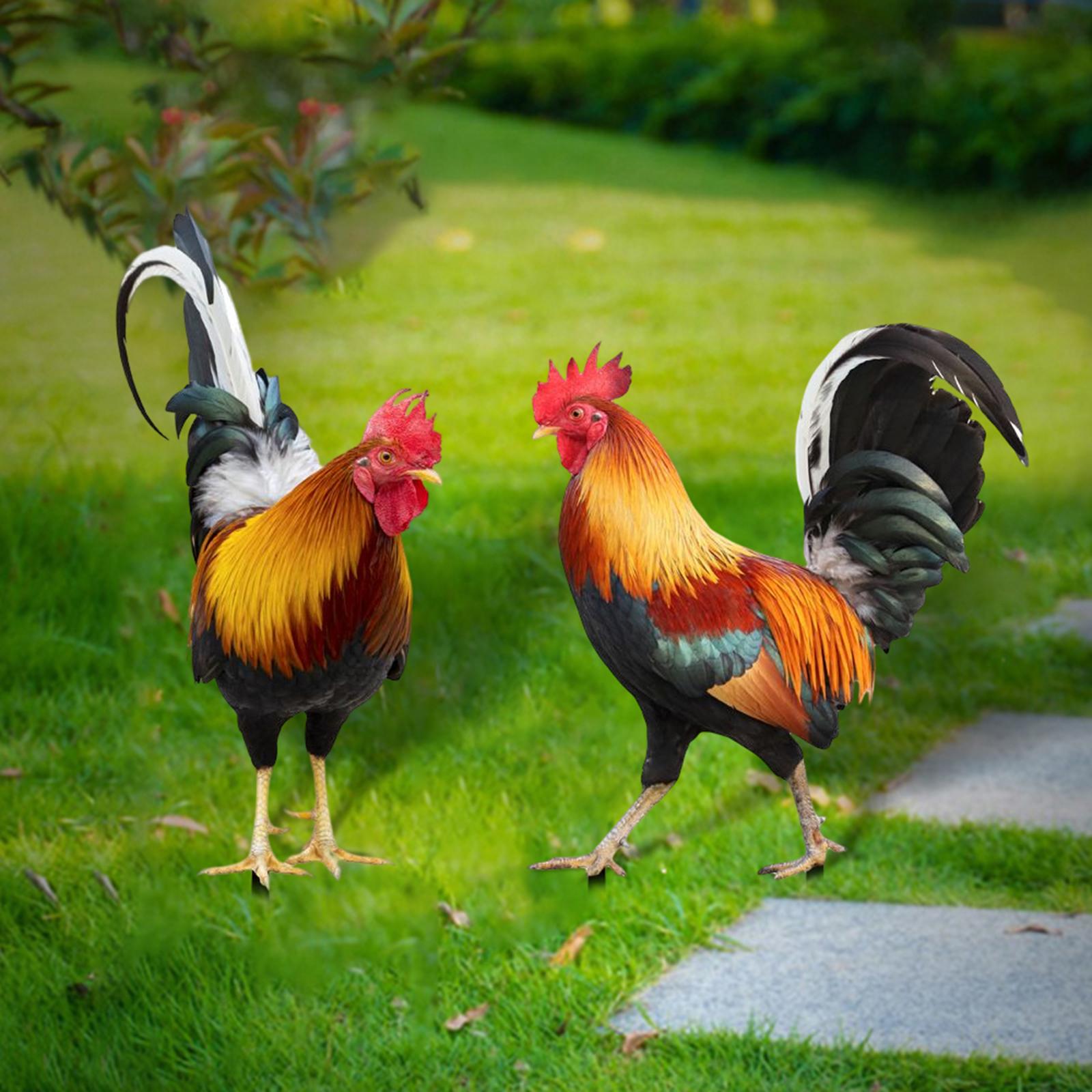 

Garden Stakes Rooster Animal Statue Yard Sign Decorative Sculpture Lifelike Figures Hen Garden Ornaments for Backyard Outdoor