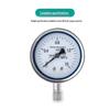 Jinglongdun Stainless Steel Pressure Gauge