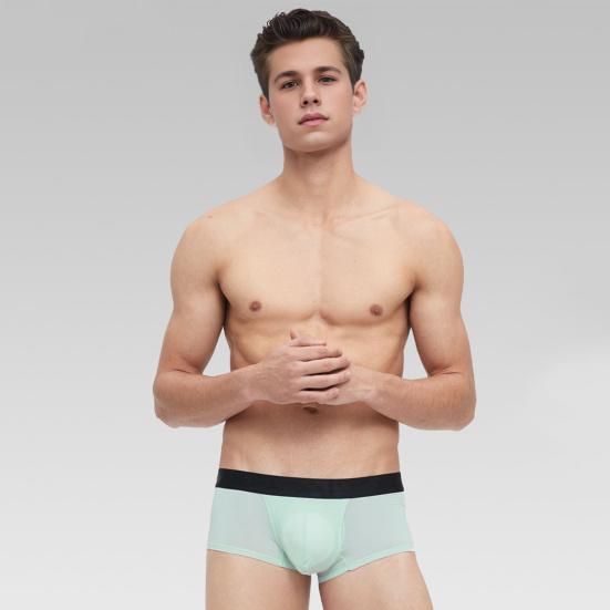 Slip Homme G-string Translucide Respirant - Couleur Unie, Taille Régulière, Neuf Avec étiquettes