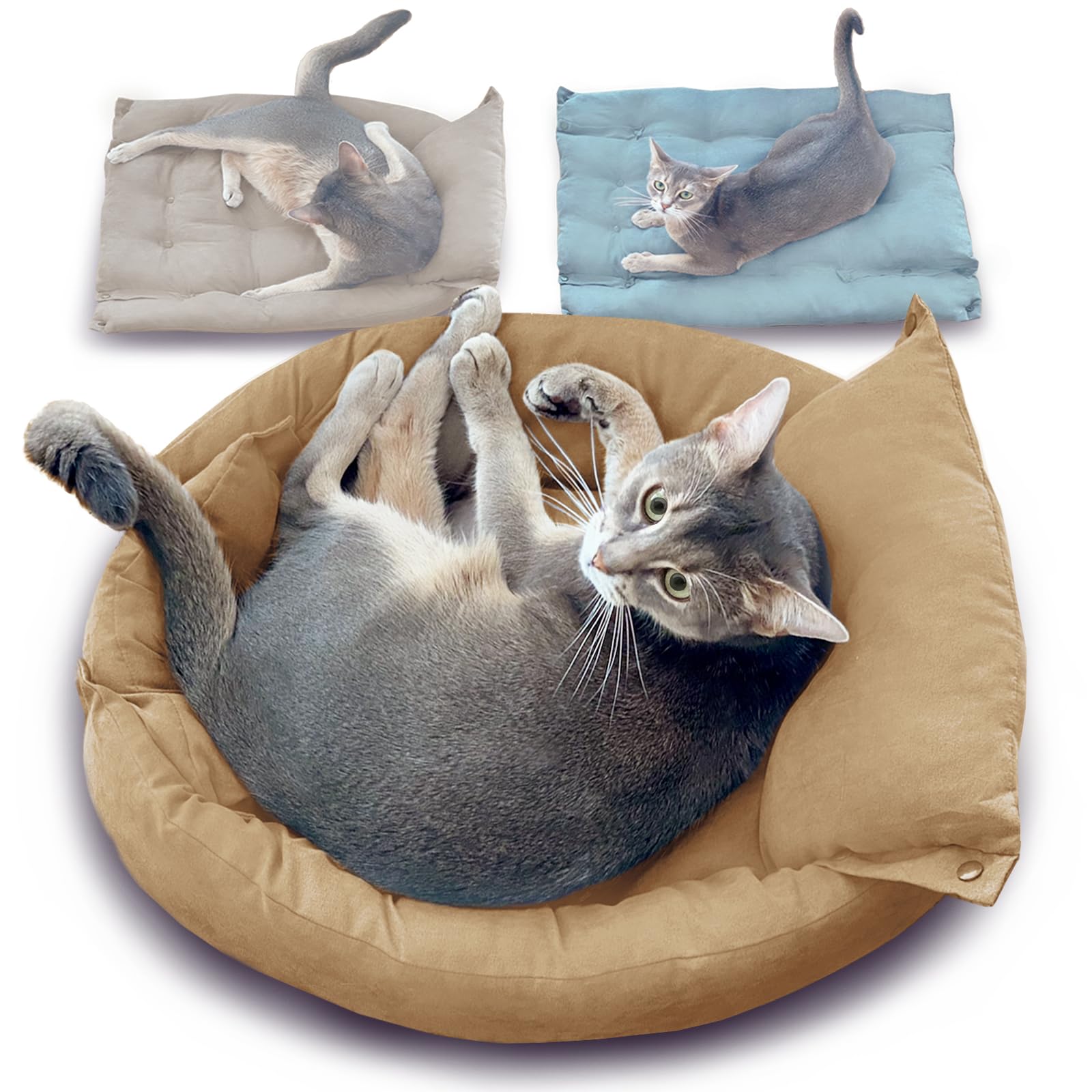 

Циановый кот Настраиваемая лежанка для вашего кота, чтобы спать в безопасности, и имеет плюшевую подушку для комфортного сна. Подходит для кота, кошки, питомца. Одна лежанка.