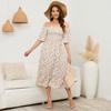 Women's Fashionable Print Round Neck Loose Short Sleeved Pocket Pullover Dress