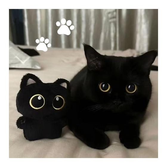 [TRkin] Black Cat Keychain Cute Cat Plush Keychain Charm - Birthday Gift for Women