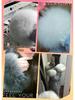Women's Fluffy Faux Fur Wristband & Cuff Sleevelets