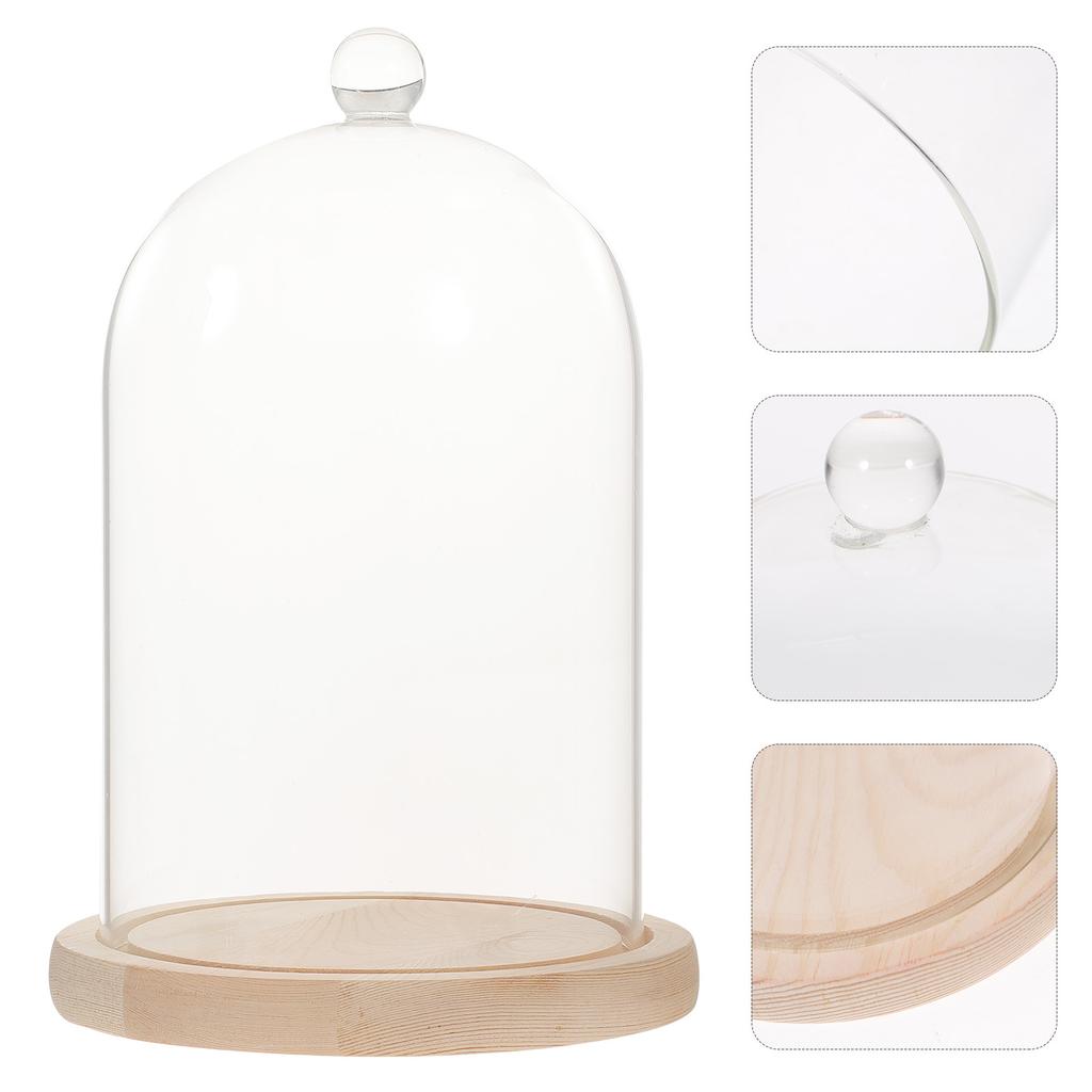 Tischdeko Trockenblumen Glasglocke Vase Klar Ornamente Holz Konserviert