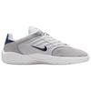Nike Vertebrae SB Platinum Tint Navy Men Sneakers Grey Wolf-Grey Summit-White FD4691-002