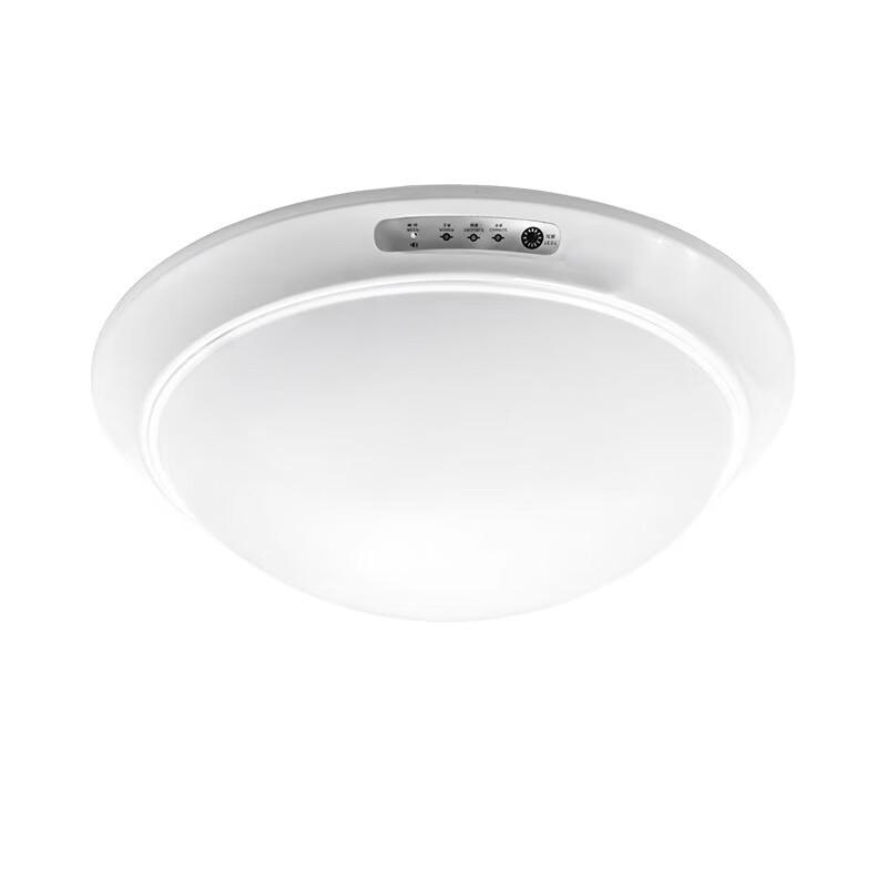 Emergency Ceiling Light