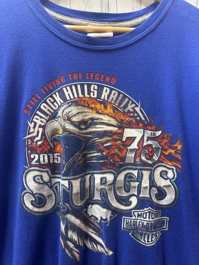 [USED] Vintage Harley-Davidson Eagle T-shirt, blue.