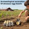 Dinosaur Egg Dig Kit Excavation Toy with Random Skeleton Models Includes Dig Tools & Guide