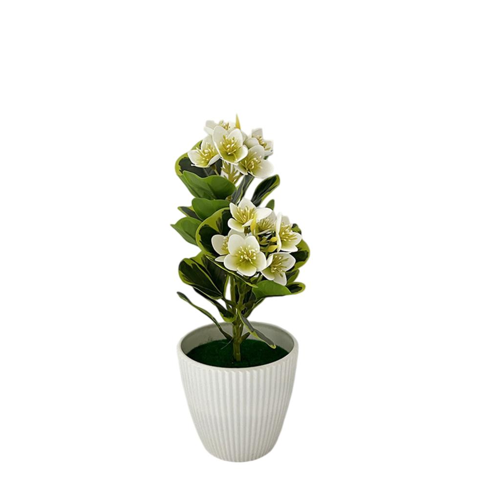 

Indoor Decorative Potted Plants for Enhancing Environments Including Workspaces Retail Stores and Hospitality Venues зелёный