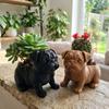 3D Printed Animal Shaped Pot Funny Dog Succulent Planter Storage Flower Pot  Small Indoor Plants