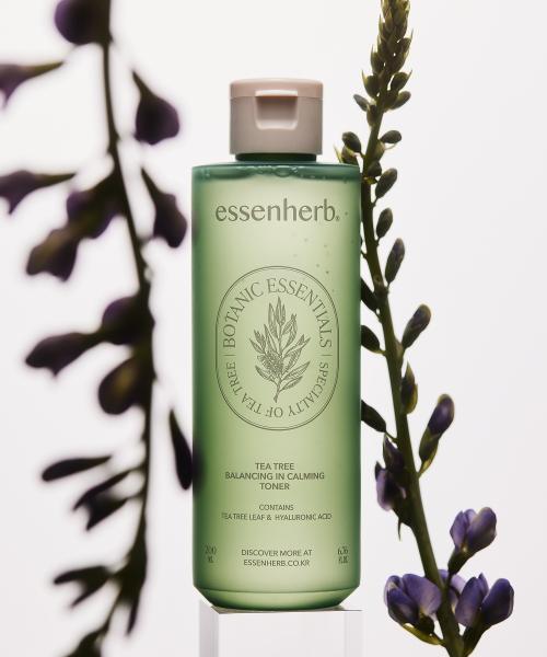 essenHERB Tea Tree Balancing In Calming Toner 200ml*2EA