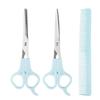 Bangs Haircutting & Styling Scissors Set - Stainless Steel Shears & Thinning Tools