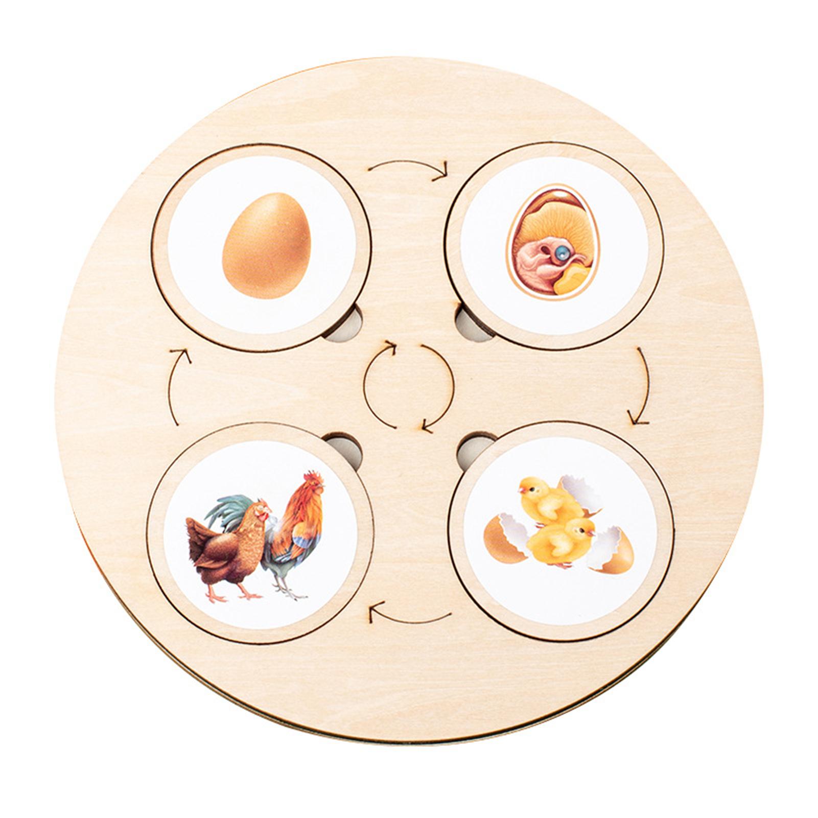 Life Cycle Puzzle Toddler Wood Puzzle Toys Life Cycle Wooden Jigsaw Puzzles Animal Figures Matching Game Educational School