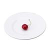 Qianxing 7-inch White Melamine Flat Dinner Plates, 10-Pack