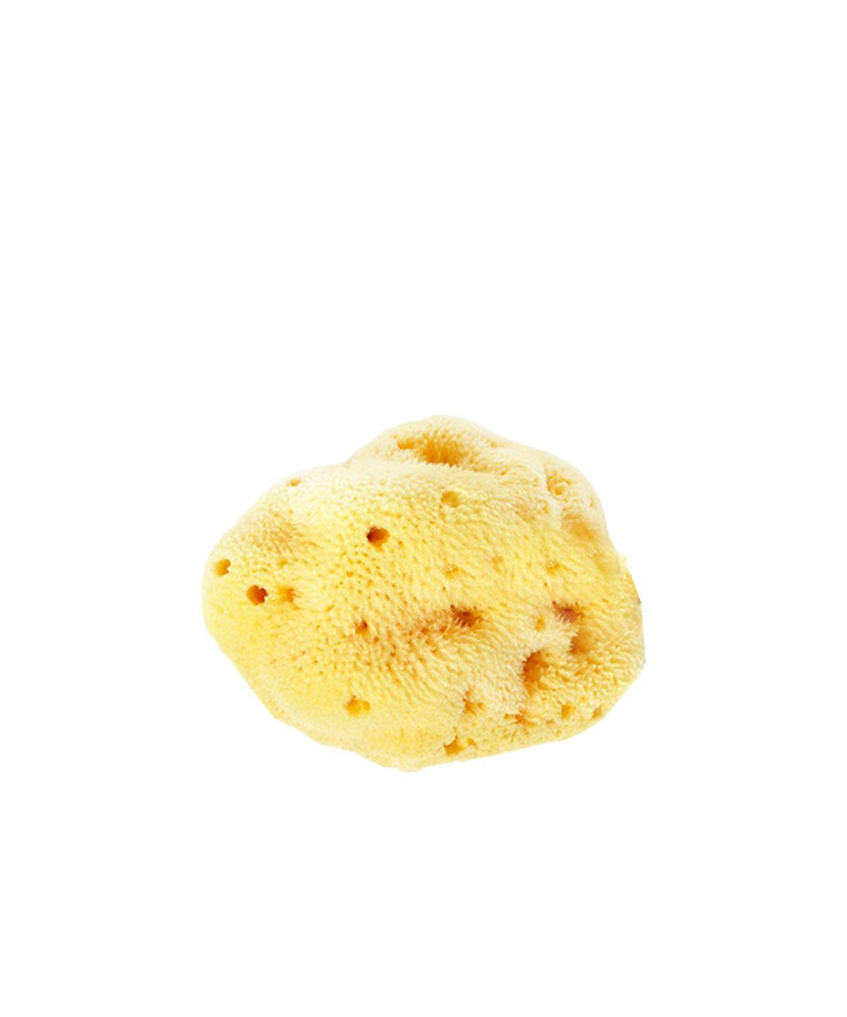 Natural sponge for facial cleansing - Large