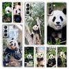 Fubao Panda Clear Phone Case For Samsung Galaxy S24 Plus S23 FE S22 S21 S20 Ultra 5G S10 S10E S9 S8 Soft Silicone Cover