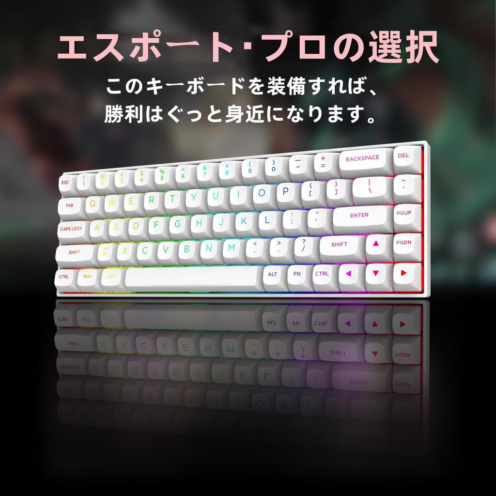 Rapid Trigger Mechanical Gaming Keyboard Wired Keyboard Adjustable Actuation Magnetic Switch Polling Rate 8000Hz RGB Backlight Mini 68 Key Computer
