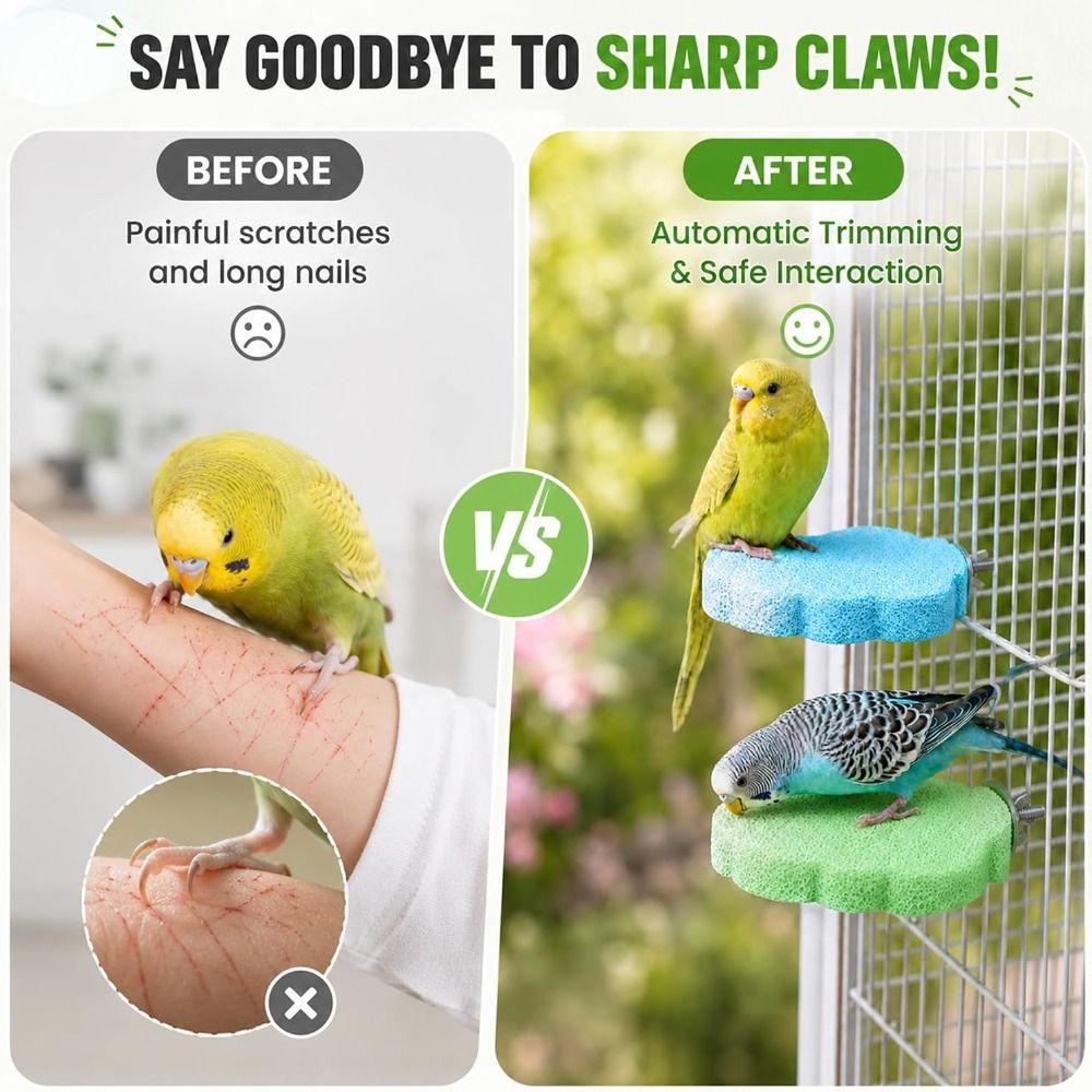 Non-Slip Surface Claw Trimming Perch Multi-Function Pumice Stone Perch  Pet Supplies