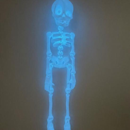 3D Printed Skeleton Refrigerator Magnet, Poseable Skeleton Figurine with Movable Joints, Halloween Gothic Skeleton Fridge Magnet Decoration
