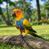 Adjustable Parrot Flying Harness Cowboy Style Safety Bird Flight Suits Anti-loss Lightweight Parrot Outdoor Leashes