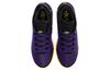 Nike Zoom LeBron Nxxt Gen 'Lakers' DR8784-500