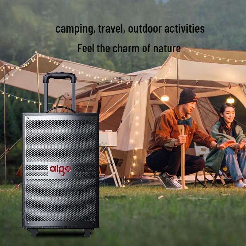 Aigo S312 12-inch Portable PA Speaker