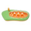 Silkworm Observation Box Educational Silkworm Breeding Space Rearing Bucket with Tweezer for Insect Learning