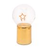 Gold LED Neon Star Light