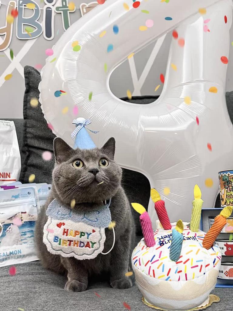 Birthday Toy Set for Dogs and Plush Dog Chew Squeak and Bib for Pets 3-Piece Cats Toy, Toy, Cake, Hat,