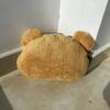Cute Plush Warm Hand Pillow Cartoon Bear Peluche Stuffed Toy Soft Cushion Birthday Gift
