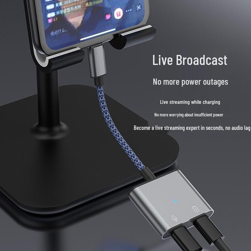 Deyu iPhone iPad Lightning Audio & Charging Adapter