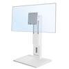 ErgoGrade Monitor Weight Compatible with Inch VESA Mount Compatible Height Adjustable Monitor Compatible with LED Curved Quick Release PC Suitable for